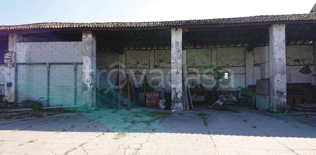 immagine annuncio 5 di 13