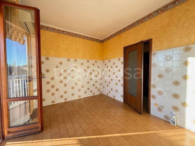 immagine annuncio 1 di 14