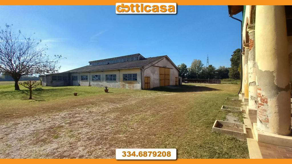 immagine annuncio 2 di 4