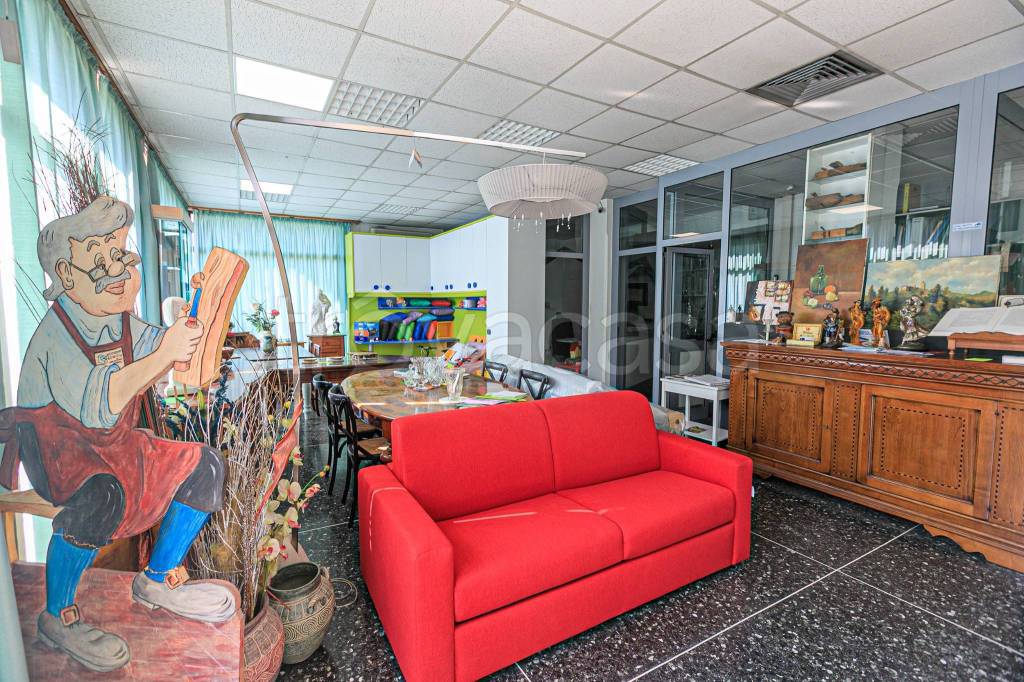 immagine annuncio 3 di 15