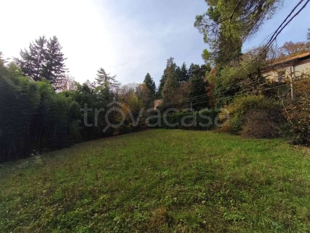 immagine annuncio 5 di 8