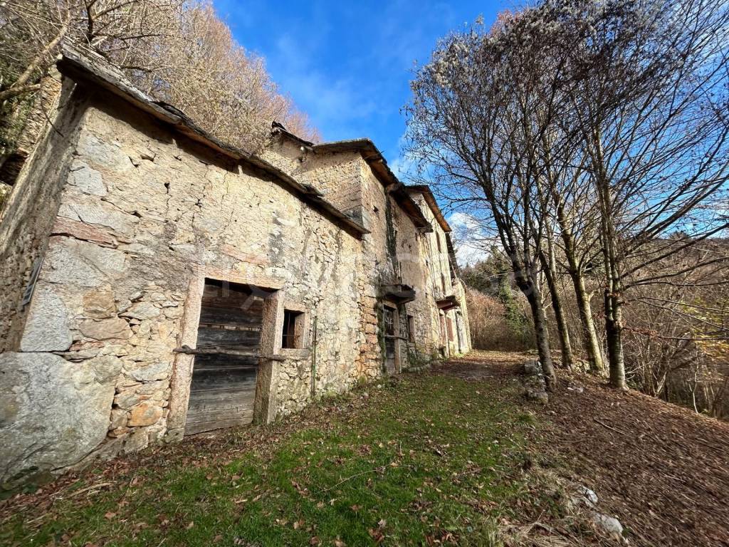 immagine annuncio 3 di 14