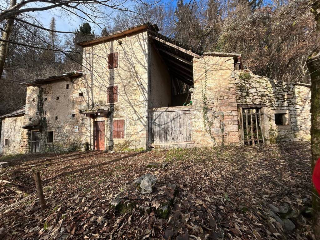 immagine annuncio 4 di 14