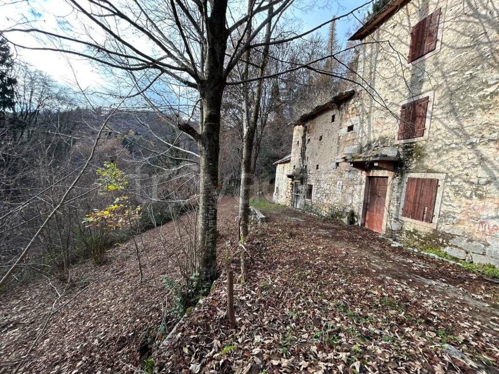 immagine annuncio 5 di 14