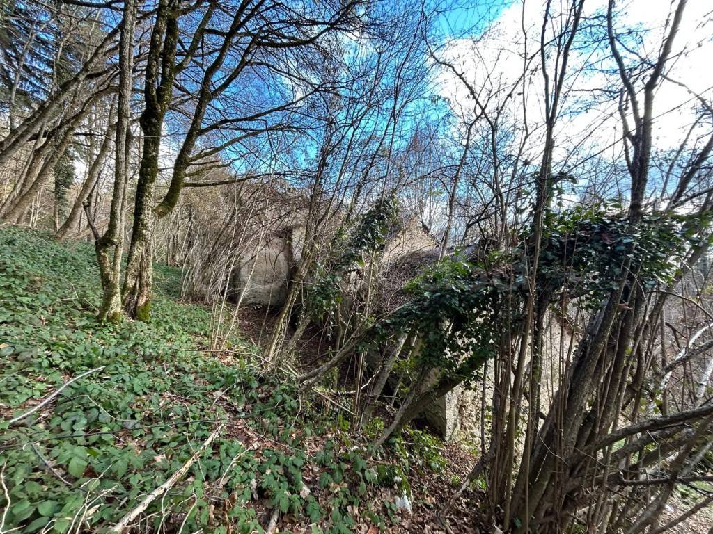 immagine annuncio 7 di 14