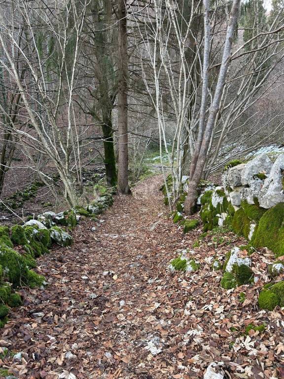 immagine annuncio 8 di 14