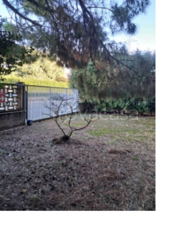 immagine annuncio 5 di 13