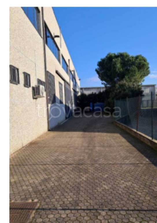 immagine annuncio 6 di 13