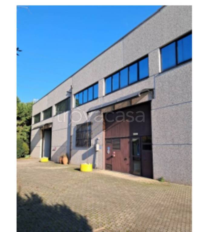 immagine annuncio 7 di 13