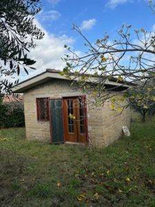 immagine annuncio 2 di 11