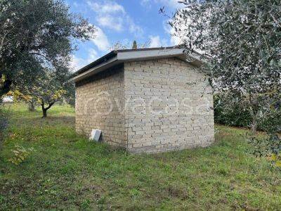 immagine annuncio 4 di 11