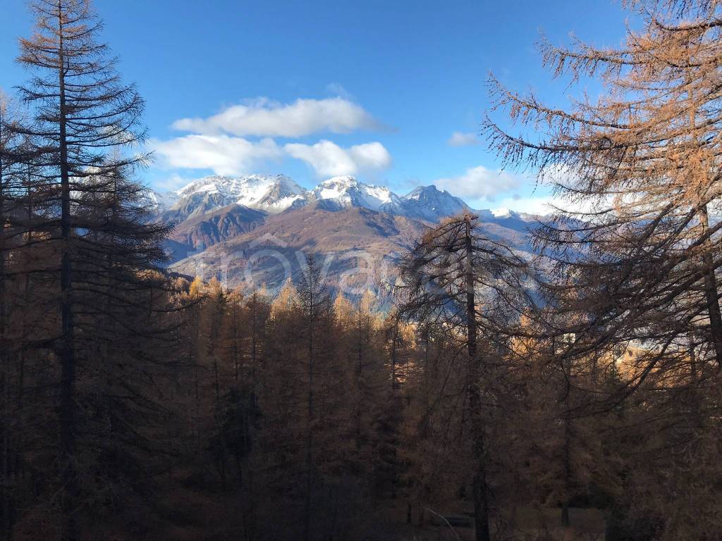 immagine annuncio 5 di 8