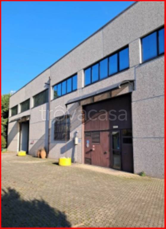 immagine annuncio 1 di 13