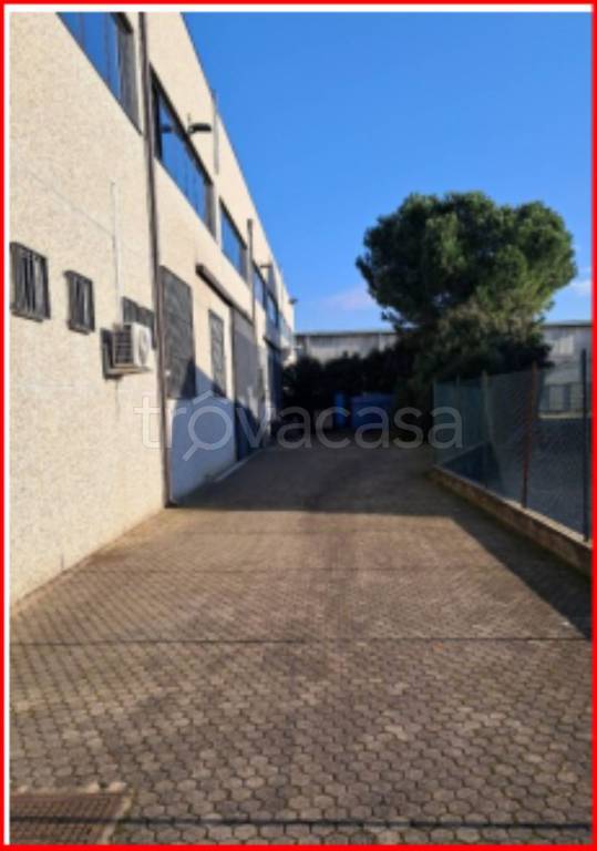 immagine annuncio 2 di 13