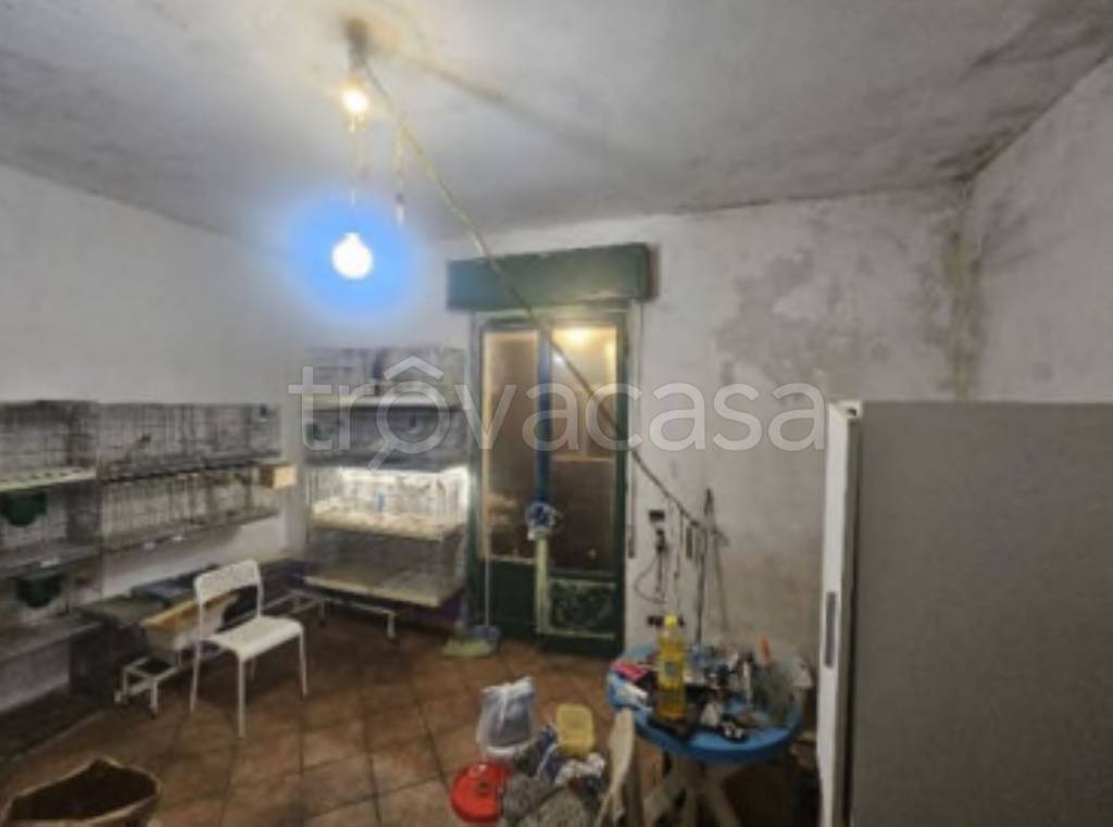 immagine annuncio 7 di 11