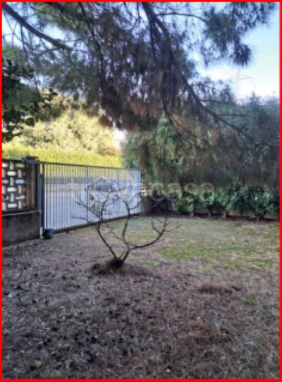 immagine annuncio 3 di 13