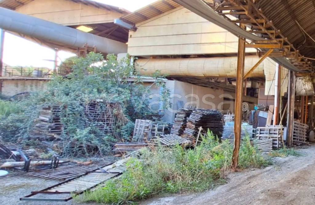 immagine annuncio 9 di 11