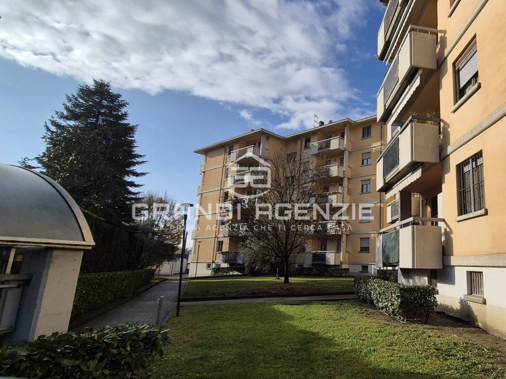 immagine annuncio 6 di 7