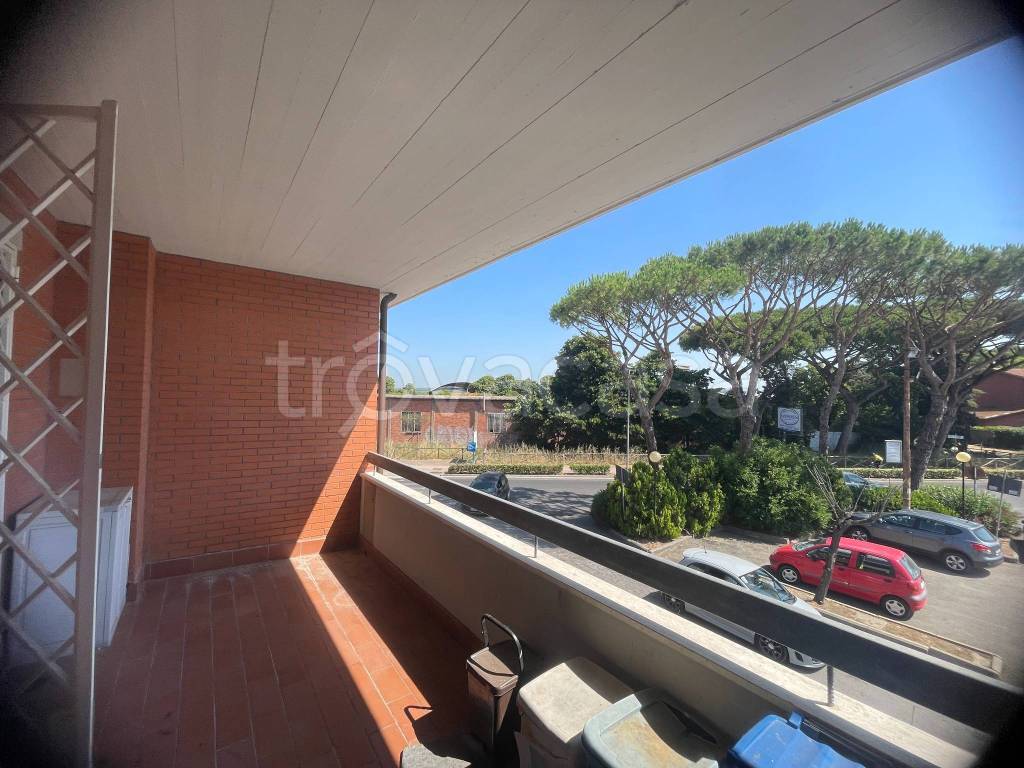 immagine annuncio 9 di 12