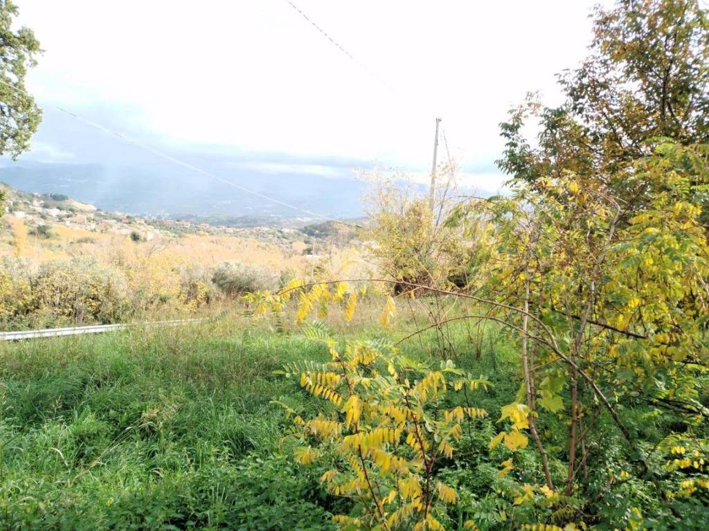 immagine annuncio 10 di 14