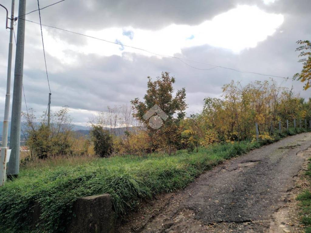 immagine annuncio 11 di 14