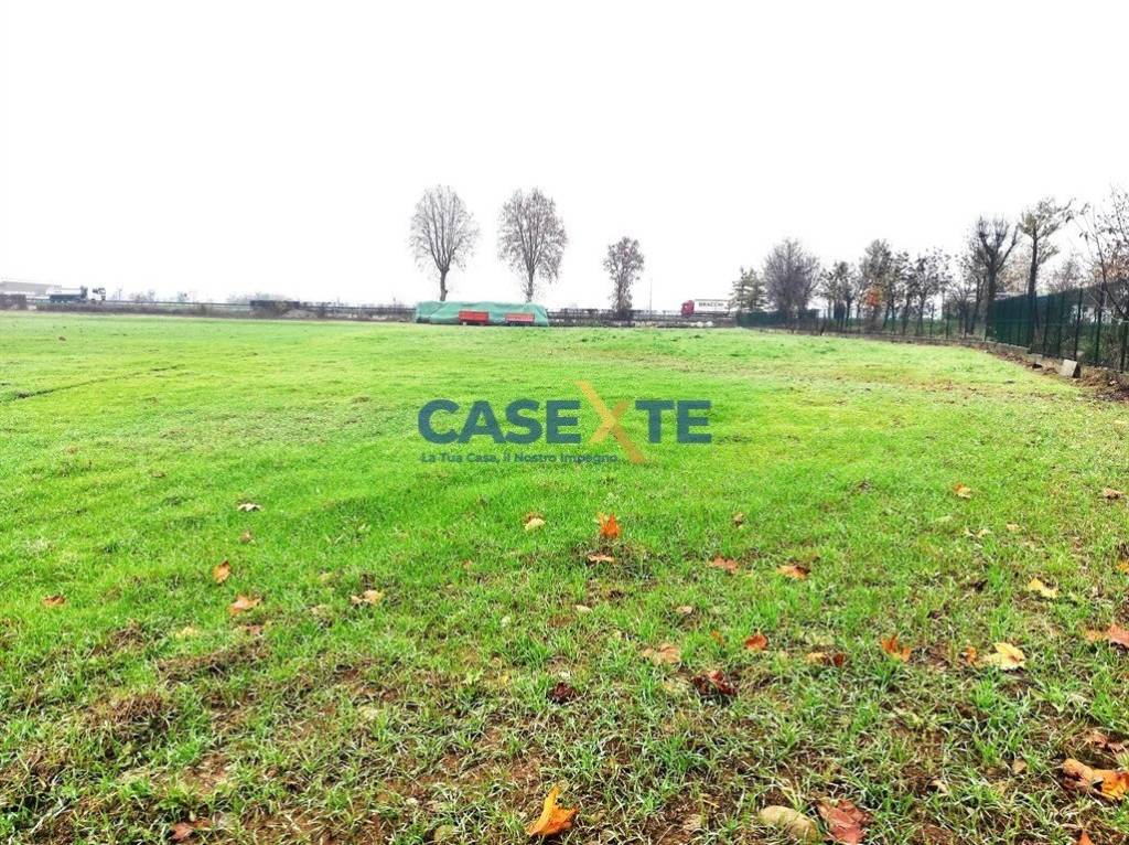 immagine annuncio 1 di 6