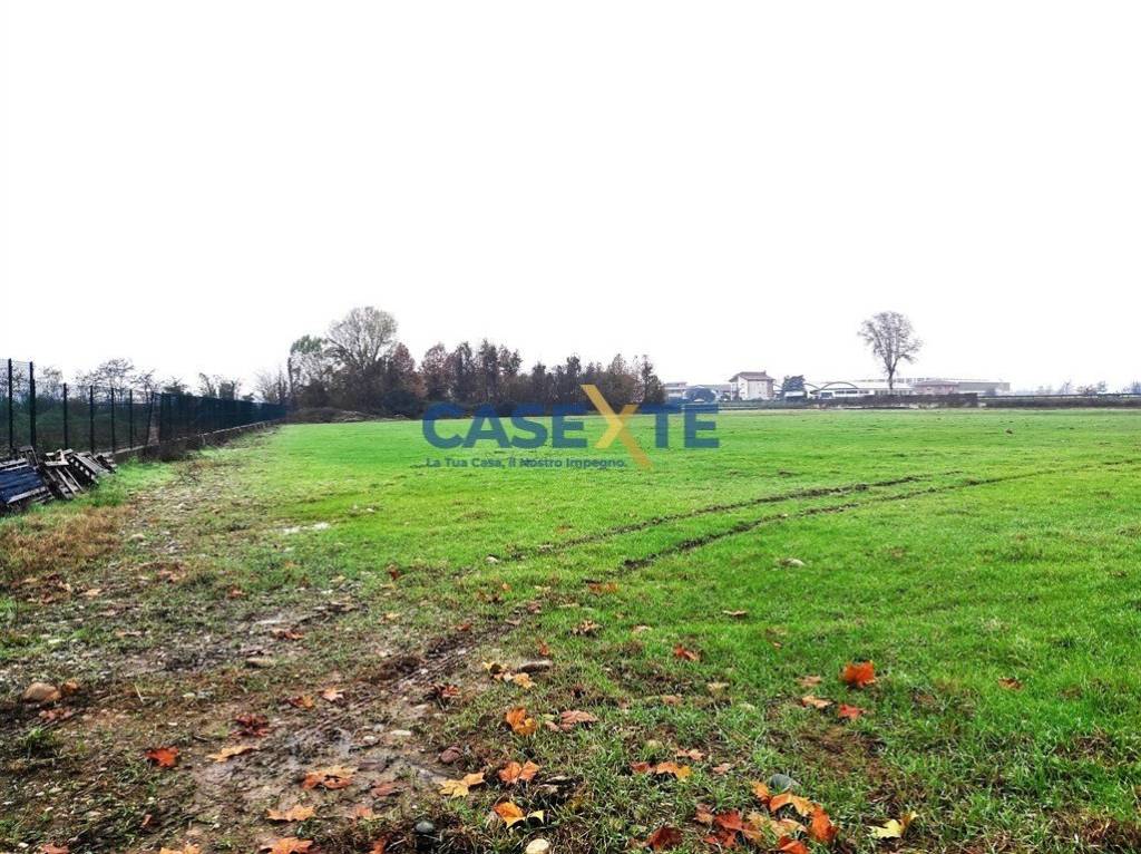 immagine annuncio 2 di 6