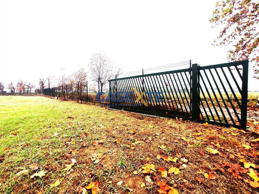 immagine annuncio 3 di 6