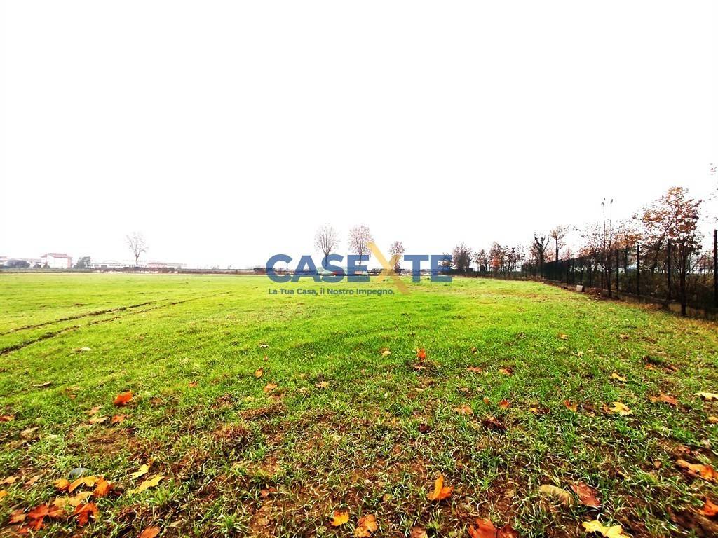 immagine annuncio 4 di 6