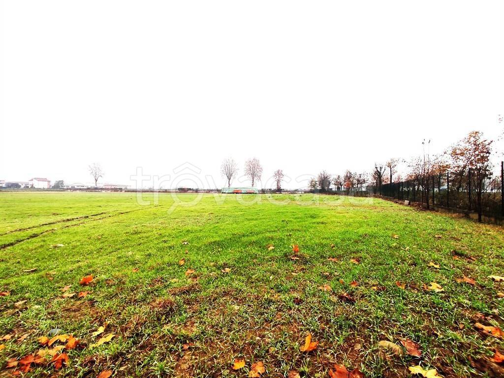 immagine annuncio 5 di 6