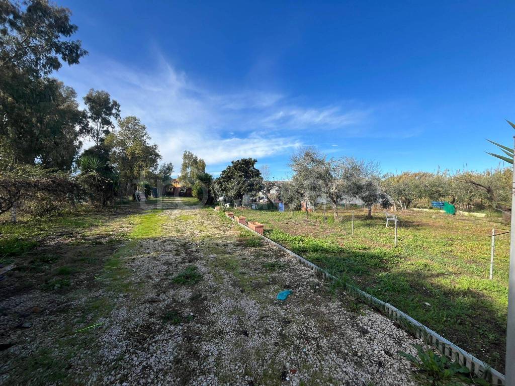 immagine annuncio 2 di 4