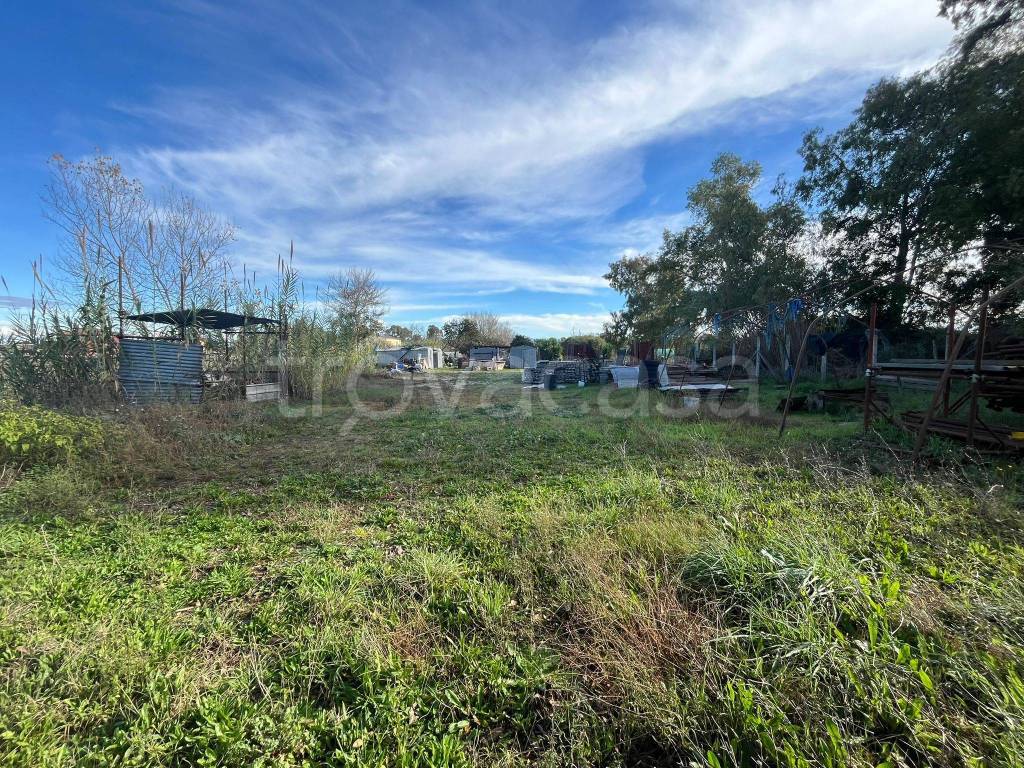 immagine annuncio 3 di 4