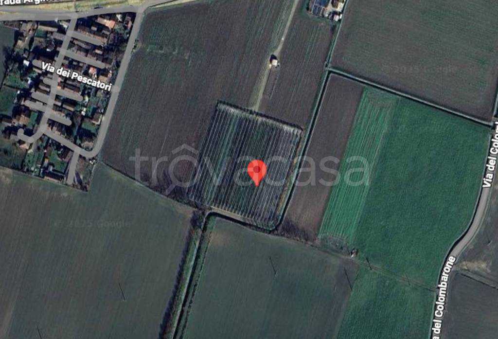 immagine annuncio 2 di 11