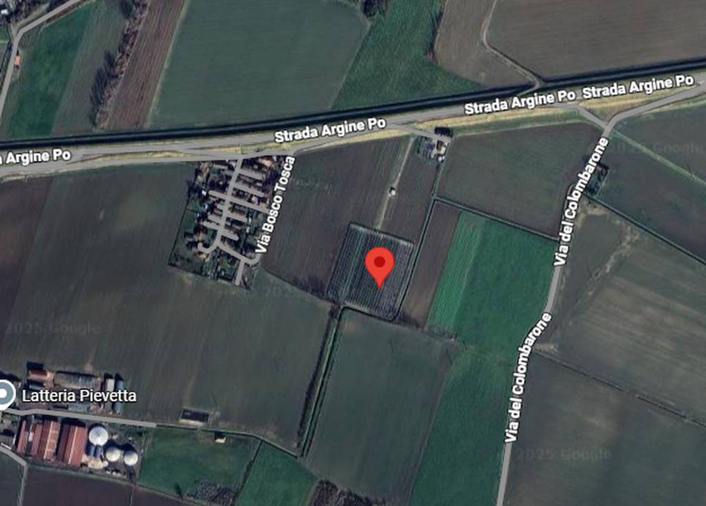 immagine annuncio 3 di 11