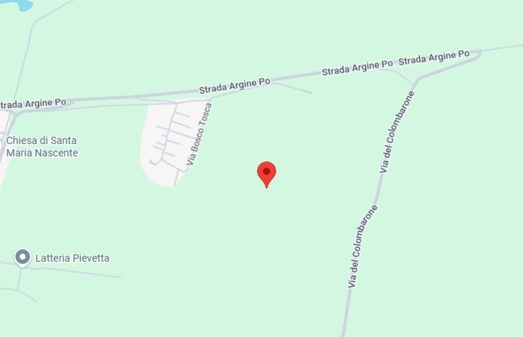 immagine annuncio 6 di 11