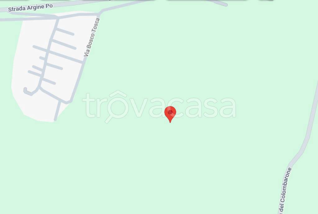 immagine annuncio 7 di 11