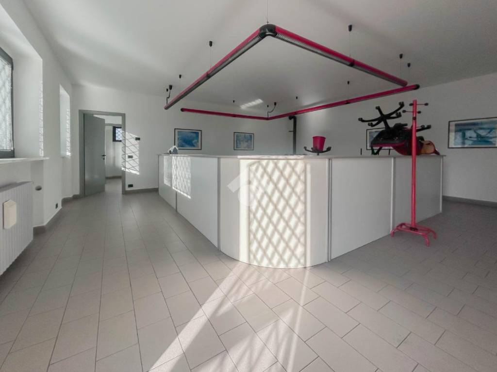 immagine annuncio 2 di 8