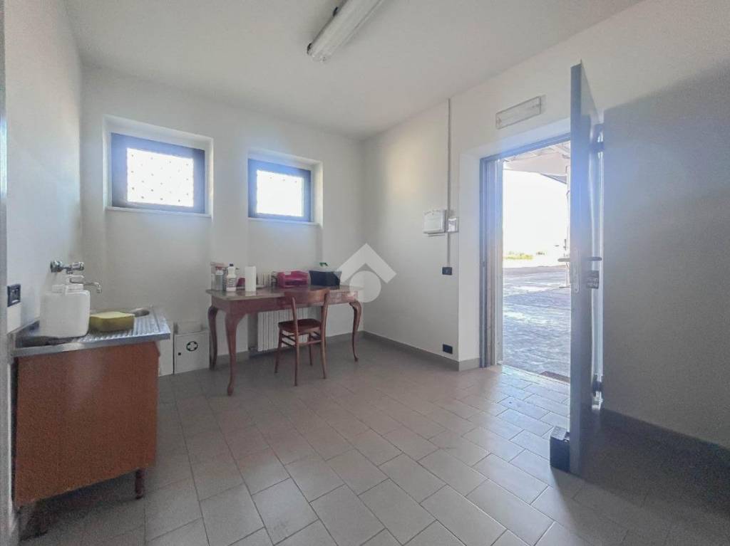 immagine annuncio 6 di 8