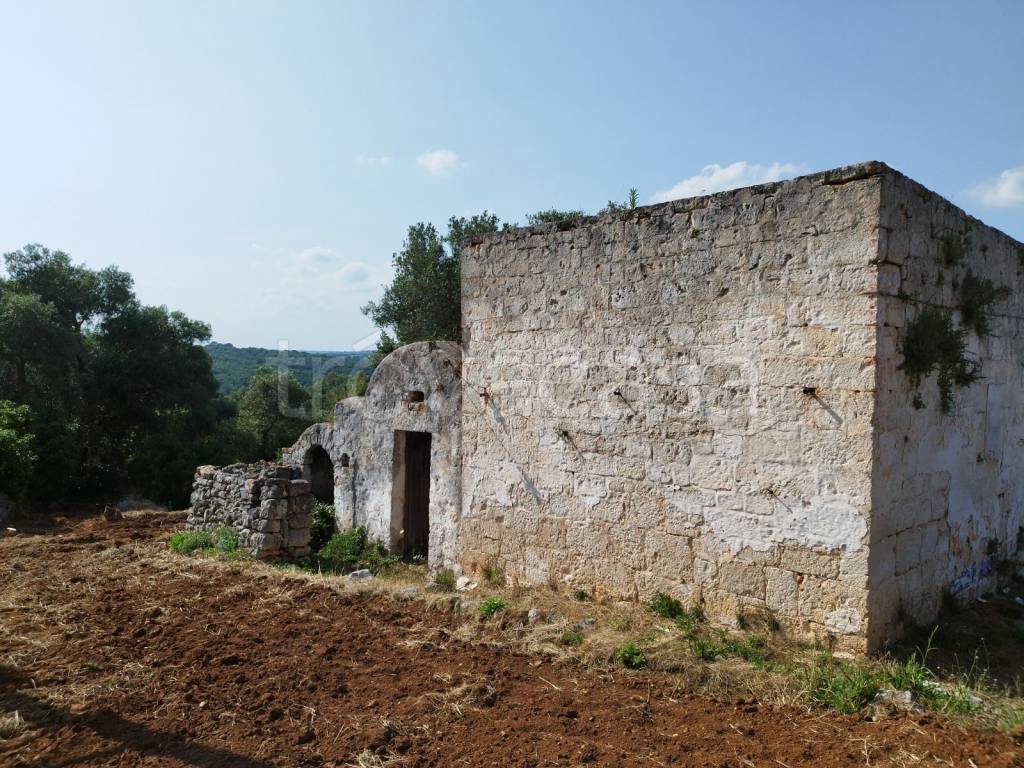 immagine annuncio 2 di 6