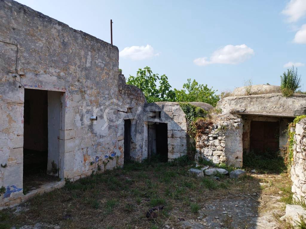 immagine annuncio 4 di 6