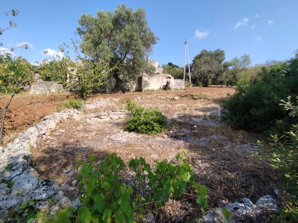 immagine annuncio 5 di 6