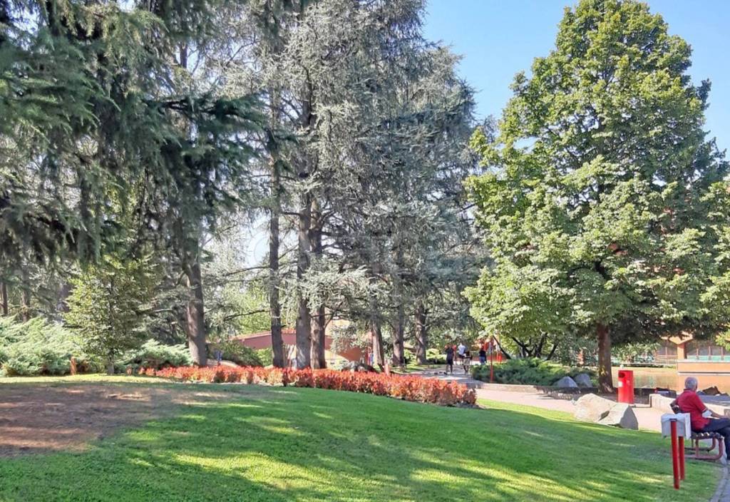 immagine annuncio 4 di 7