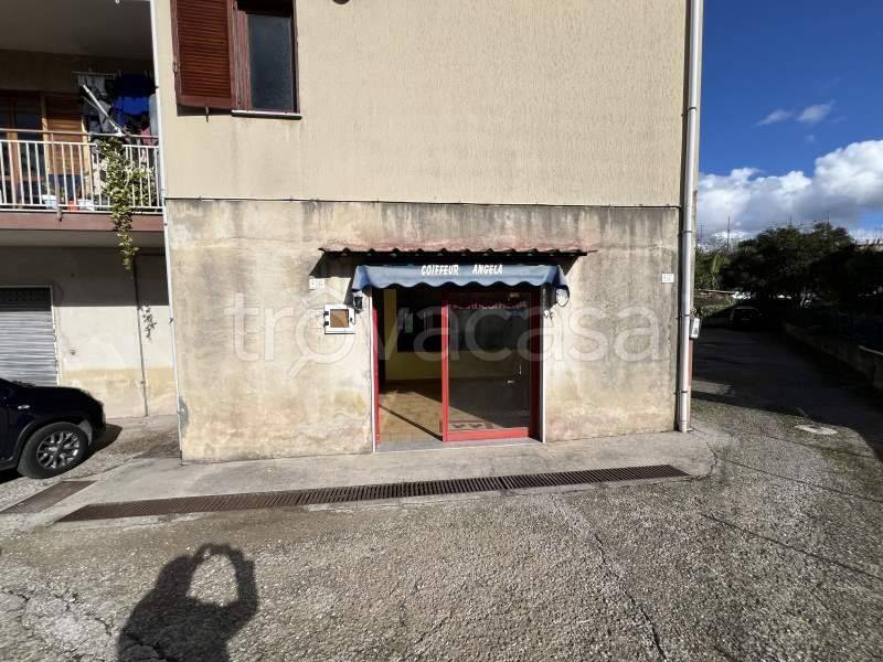 immagine annuncio 8 di 13