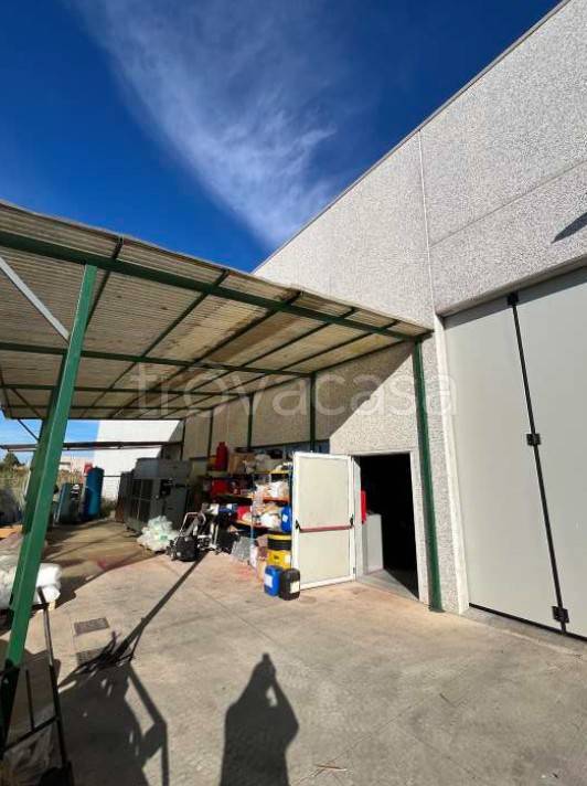 immagine annuncio 10 di 13