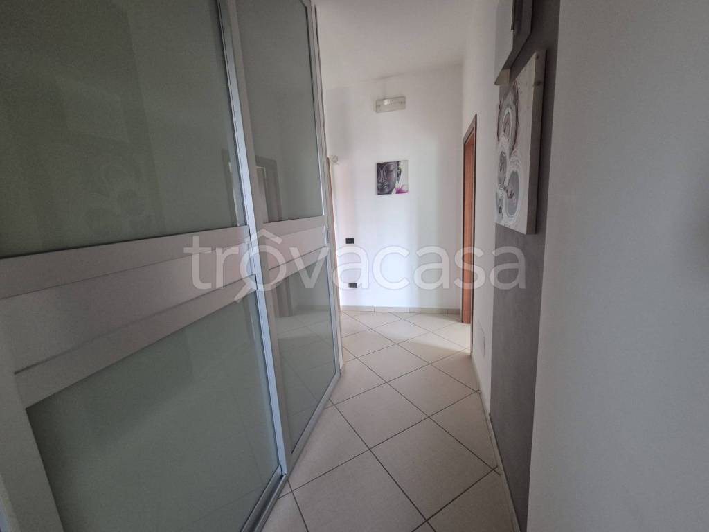 immagine annuncio 6 di 14