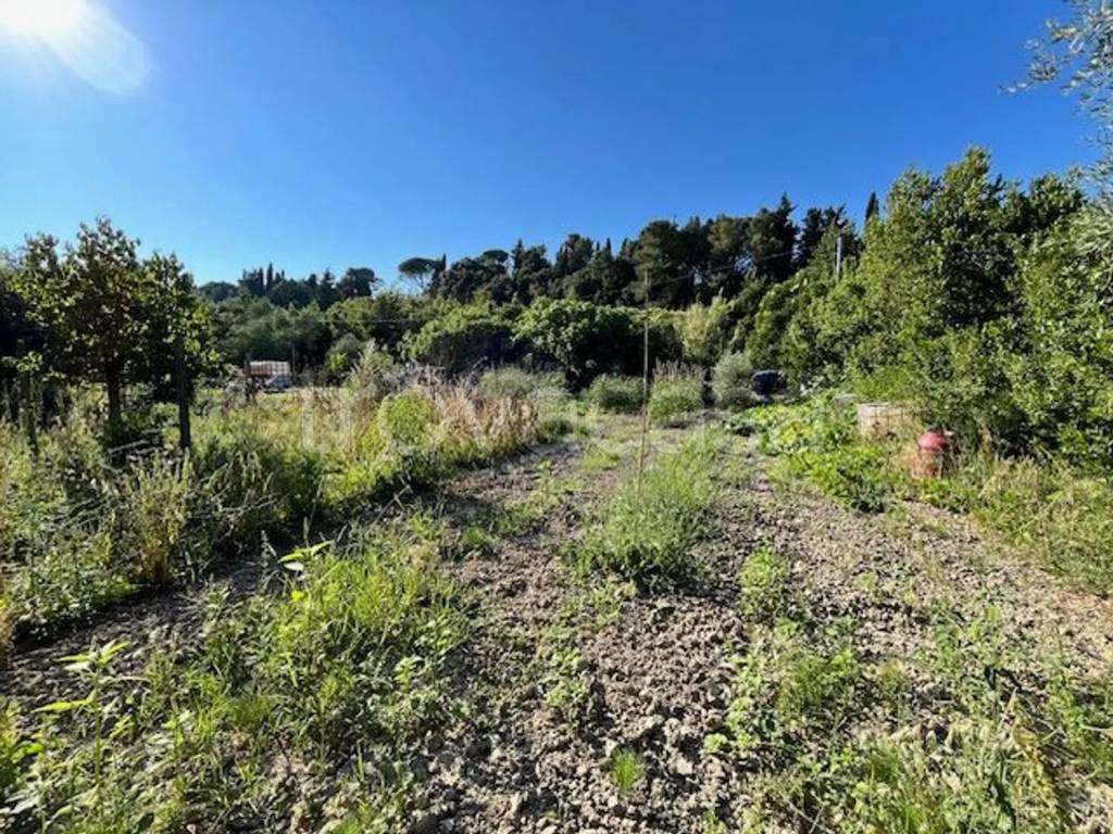 immagine annuncio 5 di 12