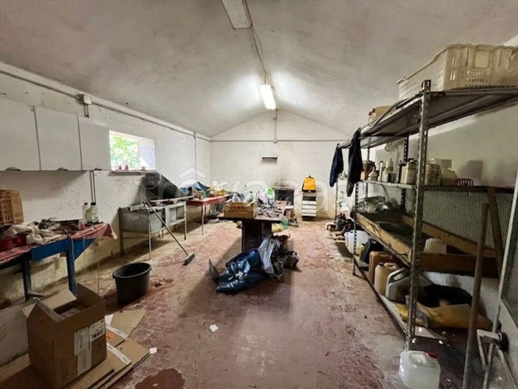 immagine annuncio 6 di 12