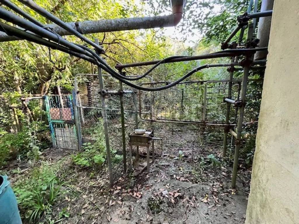 immagine annuncio 9 di 12