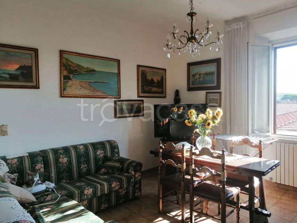 immagine annuncio 4 di 8