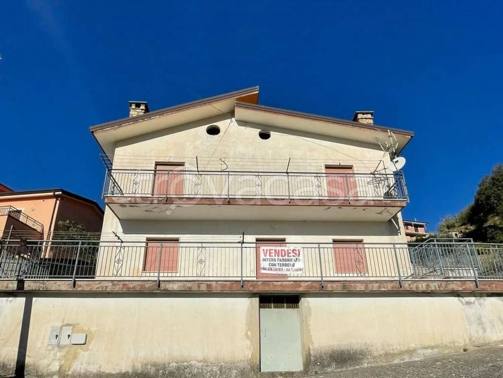 immagine annuncio 1 di 14